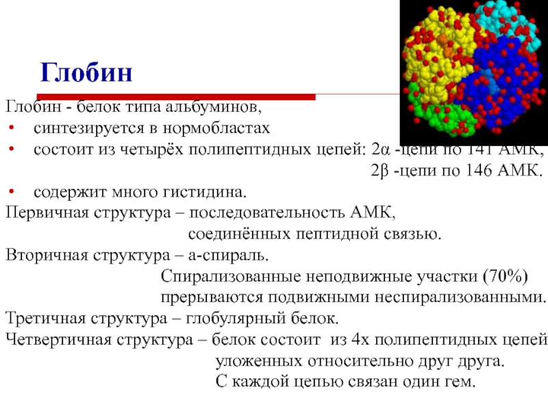 Белки типы белков. Белок альбумин структура белка. Альбумин первичная структура белка. Альбумин строение структурная формула. Альбумин третичная структура.