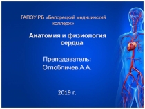 Презентация по анатомии и физиологии 