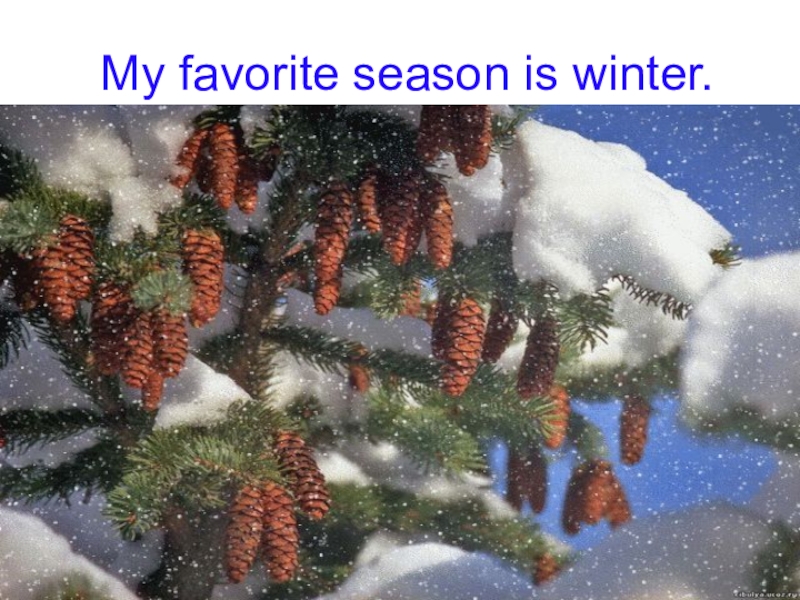 My favorite season is winter