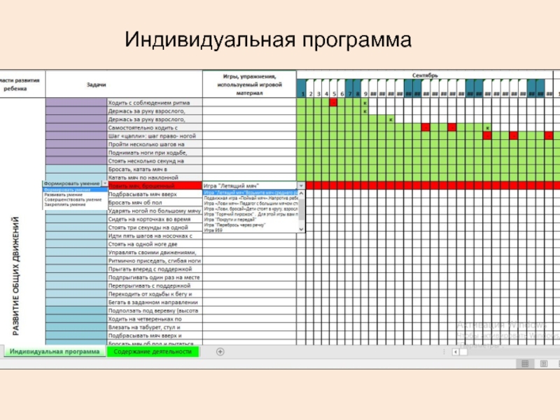 Индивидуальная программа ребенка