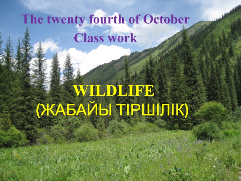 Презентация А?ылшын тілінен  'Animal world in Kazakhstan' презентация