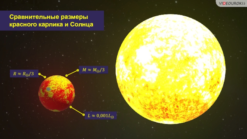 Солнце является карликом