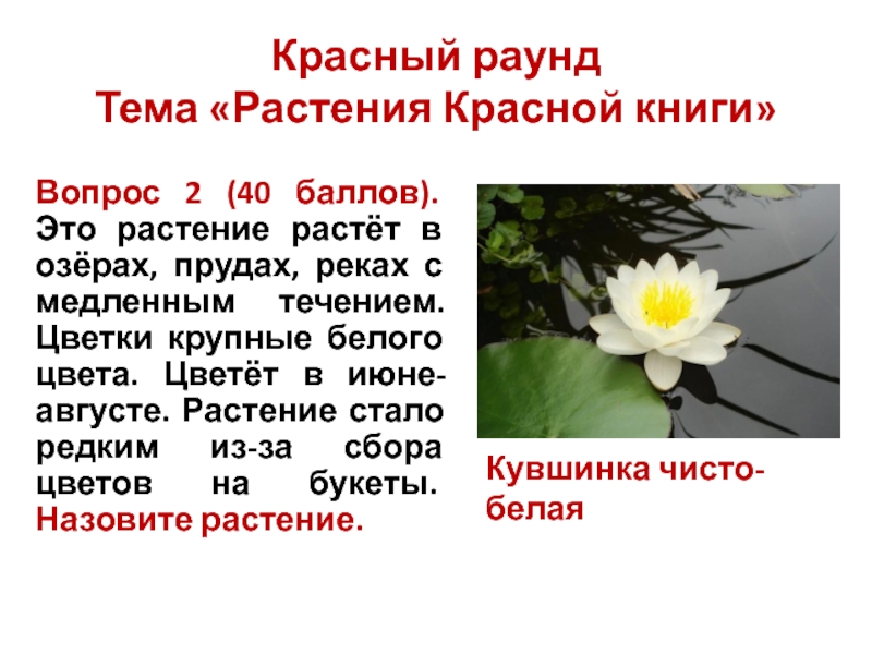 Цветы в течение часа. Животные и растения Пермского края занесенные в красную книгу.