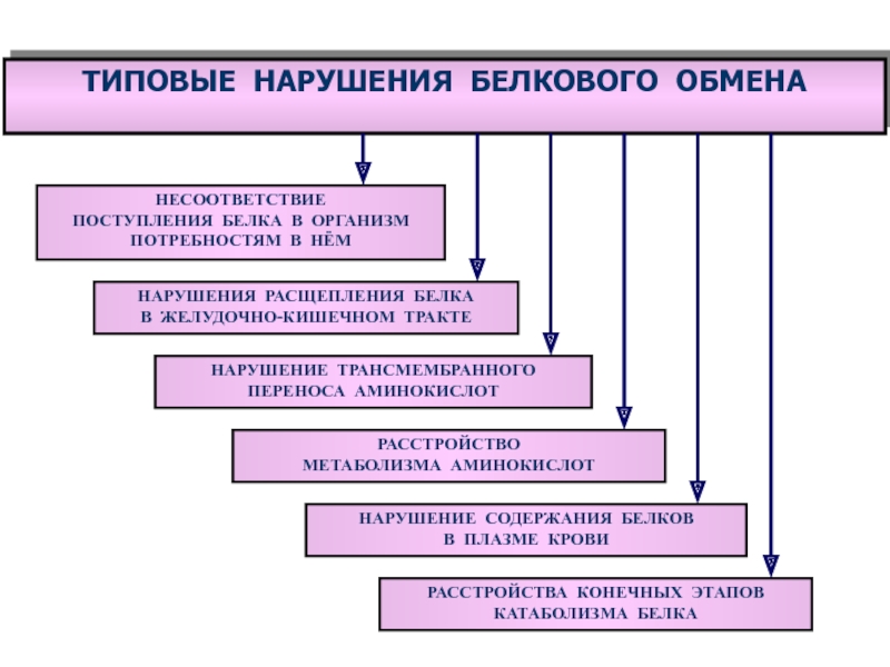 Патофизиология белкового обмена презентация