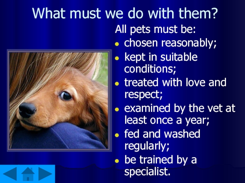 What must we do with them?All pets must be:chosen reasonably; kept in suitable conditions; treated with love