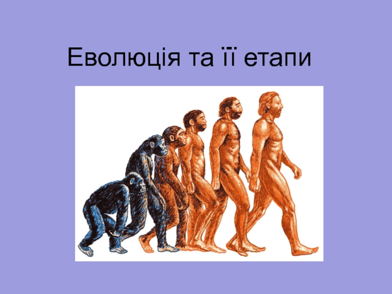 Презентация Еволюція та її етапи