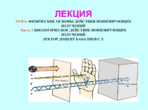 ЛЕКЦИЯ ТЕМА: ФИЗИЧЕСКИЕ ОСНОВЫ ДЕЙСТВИЯ ИОНИЗИРУЮЩИХ ИЗЛУЧЕНИЙ Часть 2