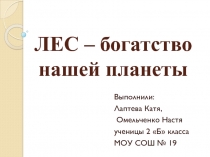 Лес – богатство нашей планеты