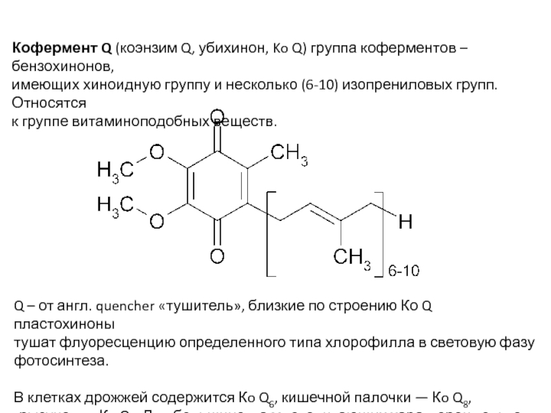 Что такое кофермент