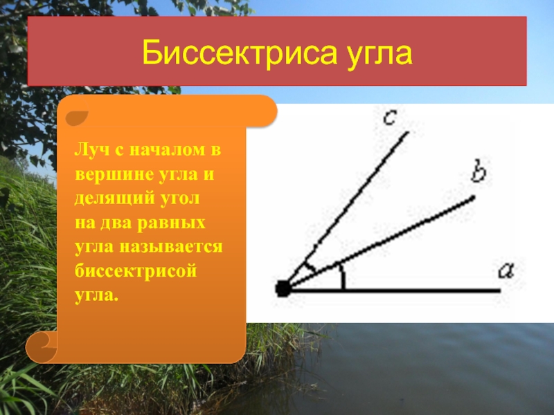 Луч на угле. Биссектриса угла. Угол биссектриса угла. Биссектриса это Луч. Биссектриса угла это Луч который.