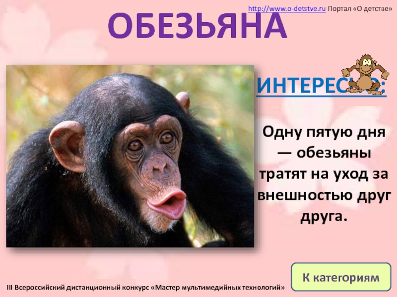 День обезьян