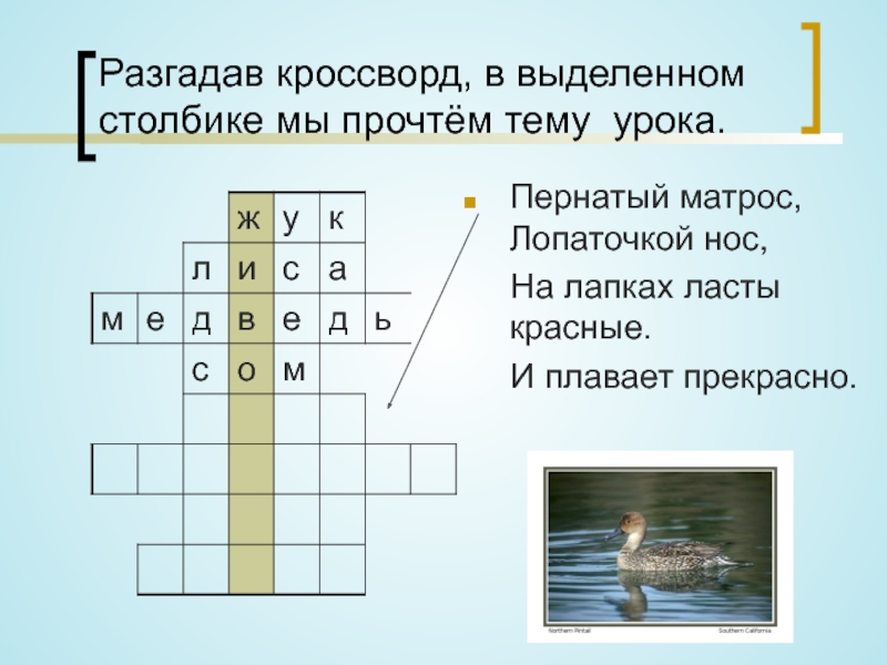 Кроссворд по окружающему миру 2. Кроссворд окружающий мир. Кроссворд по окружающему. Кроссворд 2 класс окружающий мир. Кроссворд по уроку окружающего мира.