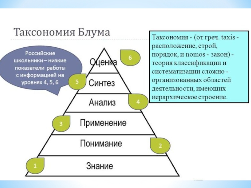 Таксономия зеленых проектов это