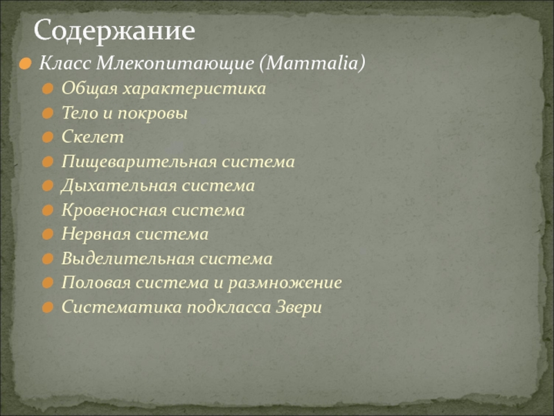 Тварь содержание. Класс млекопитающие общая характеристика. Характеристика класса млекопитающие.