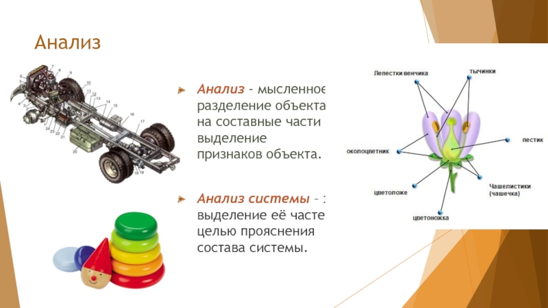 Части презентации. Мыслительное Разделение объекта на составные части. Мысленное Разделение объекта на составные части или выделение. Мысленное разложение объекта на составные части. Презентация составные части.