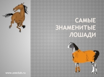 Самые знаменитые лошади