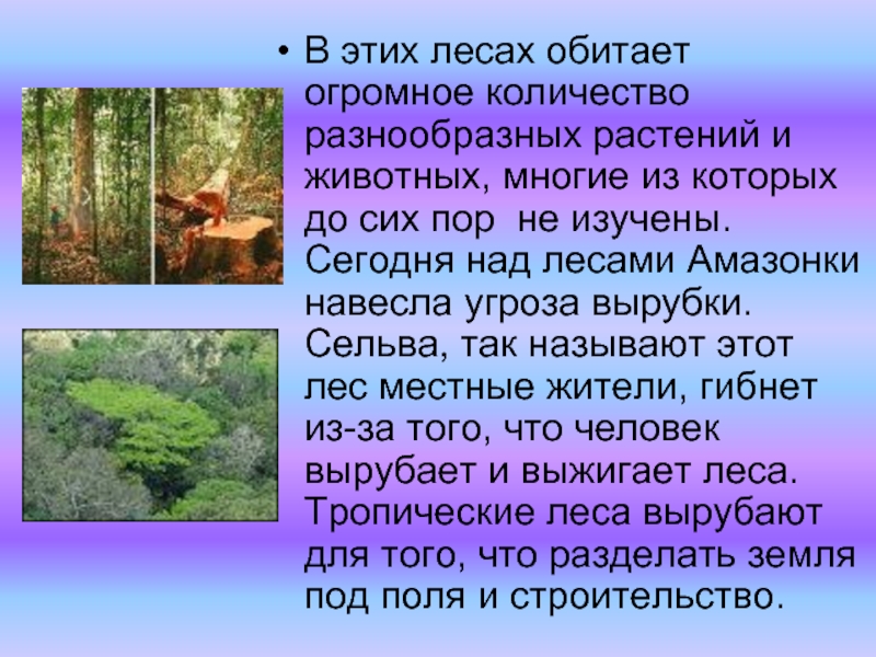 Мир глазами эколога презентация 4 класс школа россии