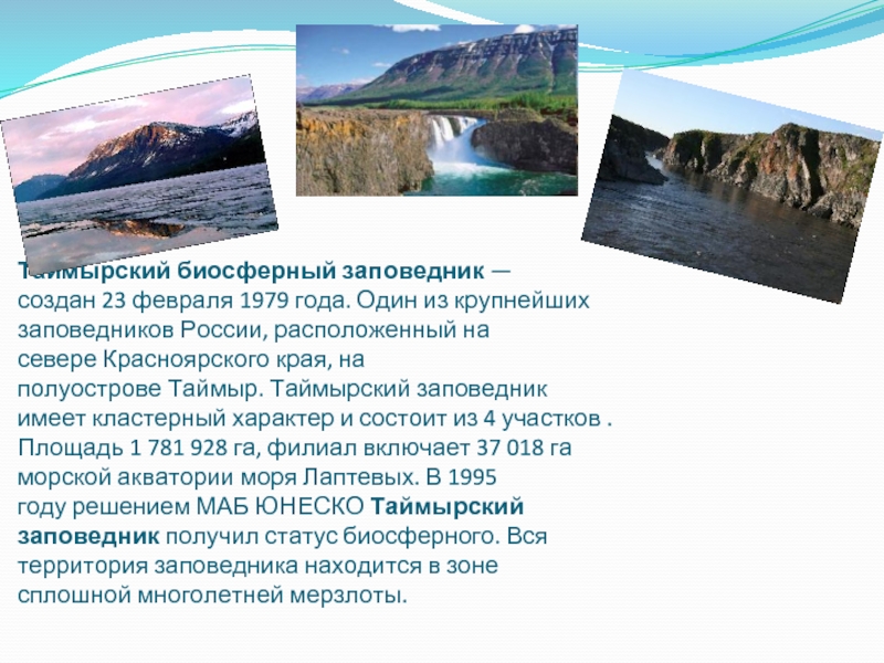 Таймырский биосферный заповедник — создан 23 февраля 1979 года. Один из крупнейших заповедников России, расположенный на севере Красноярского края, на полуострове Таймыр.
