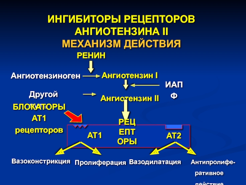 Действия рецепторов