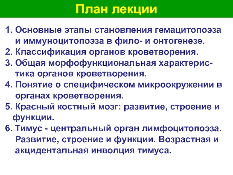 Кроветворение лекция. Морфофункциональная классификация органов кроветворения. Иммуноцитопоэза. Понятие о микроокружении.