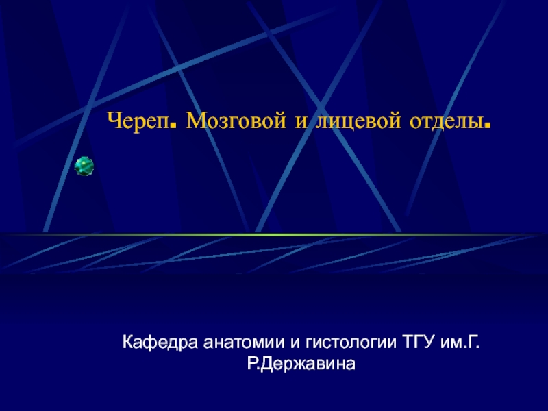 Череп. Мозговой и лицевой отделы