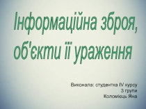 Інформаційна зброя, об'єкти її ураження