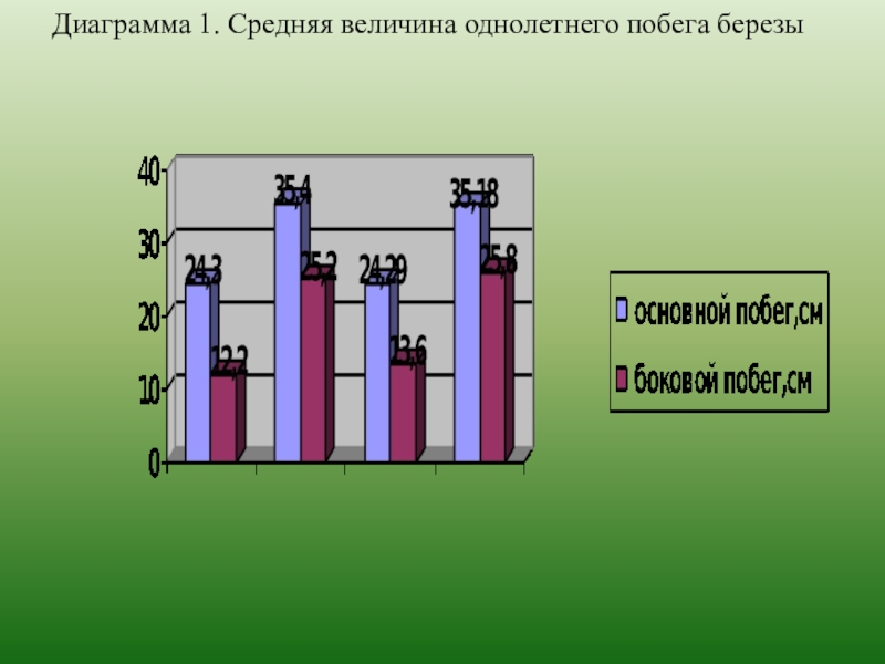 Средняя 1 4. Диаграмма березы. Формула диаграмма березы. Диаграмма береза и Лиана. График и диаграмму по тексту береза самое популярное дерево в России.