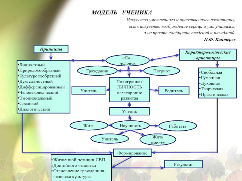 Модель ученика. Графическая модель ученика Василия Петрова.