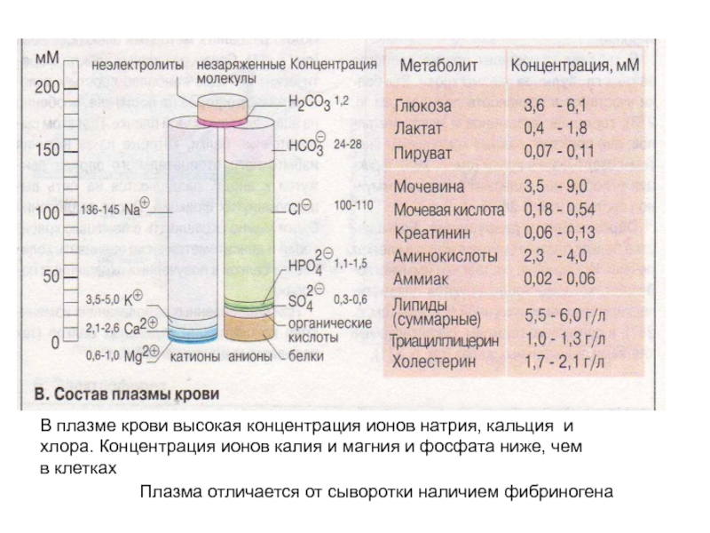 Химия крови проект