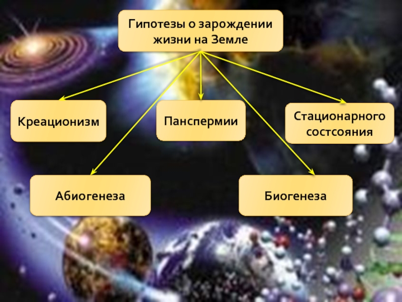 Основные теории зарождения жизни на земле проект по обществознанию