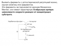 S-образная кривая зависимости скорости реакции от концентрации субстрата