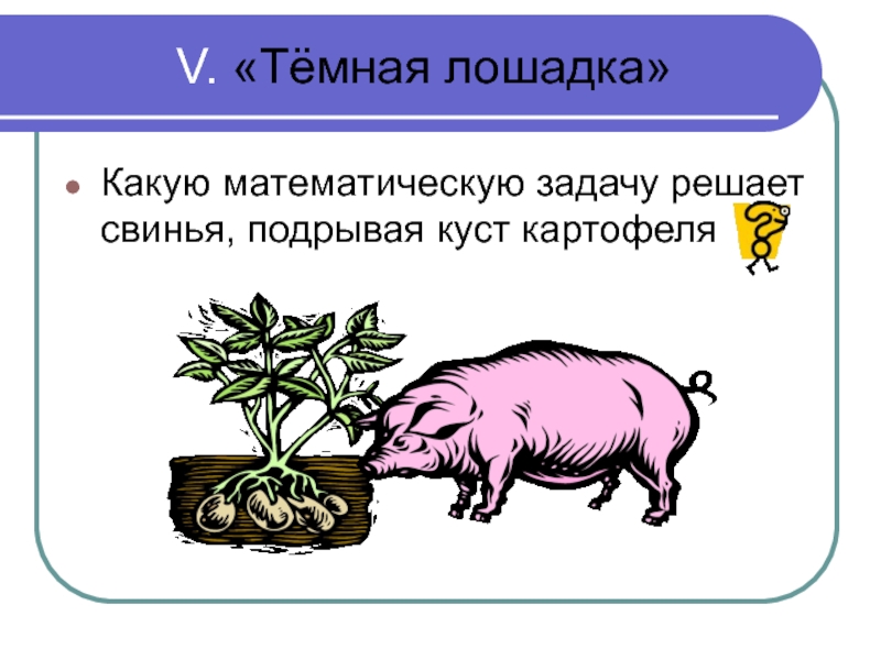 V. «Тёмная лошадка»Какую математическую задачу решает свинья, подрывая куст картофеля