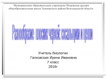 Разнообразие плоских червей: сосальщики и цепни