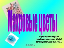 Махровые цветы