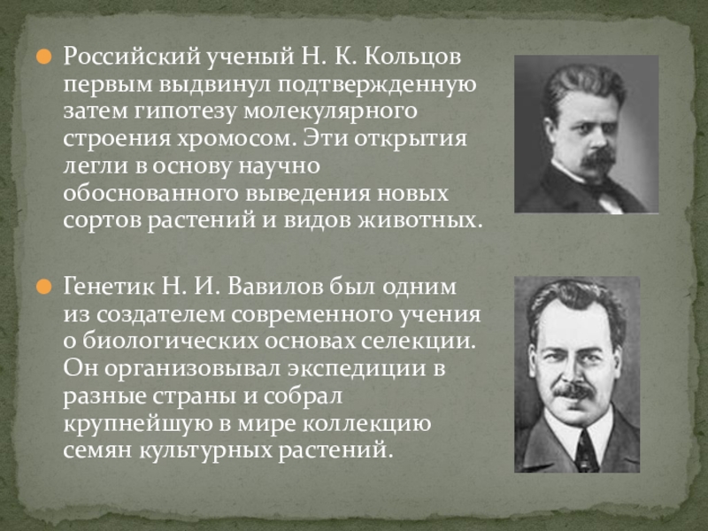 Ученый обосновавший. Н. К. Кольцов генетик. Кольцов генетика. Н К Кольцов вклад. Николай Константинович Кольцов вклад в генетику.