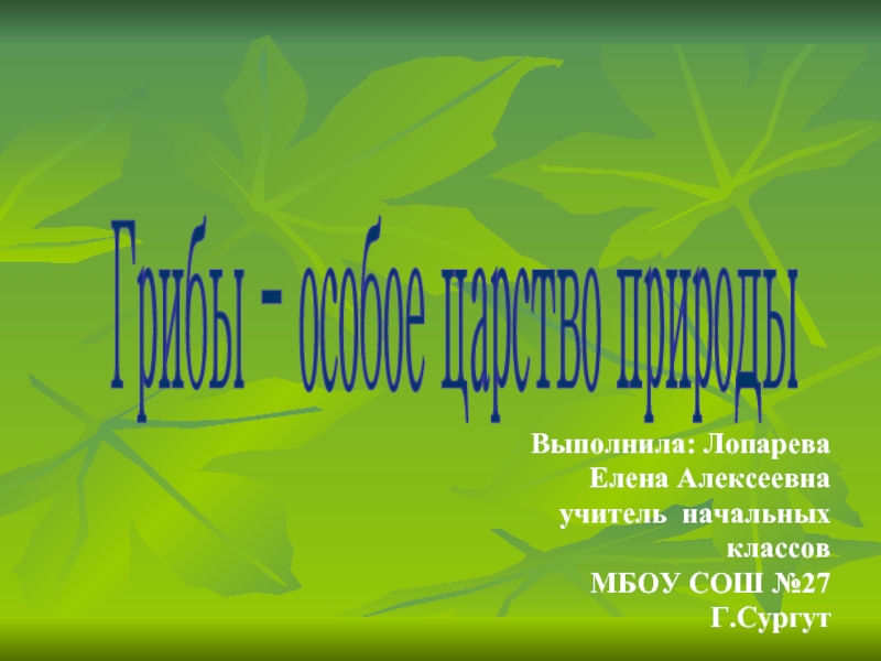 Презентация Грибы – особое царство природы