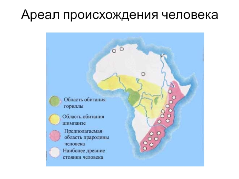 Карта происхождение человека