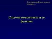Комплемент
