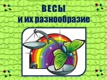 Весы и их разновидность