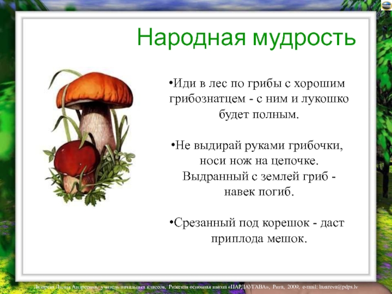 Народная мудростьИди в лес по грибы с хорошим грибознатцем - с ним и лукошко будет полным.Не выдирай