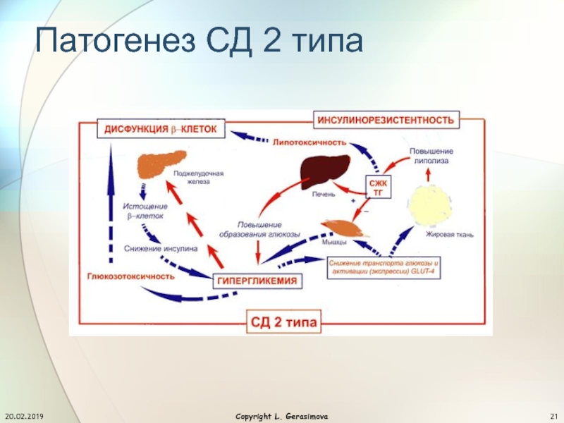 Сд 2 типа презентация