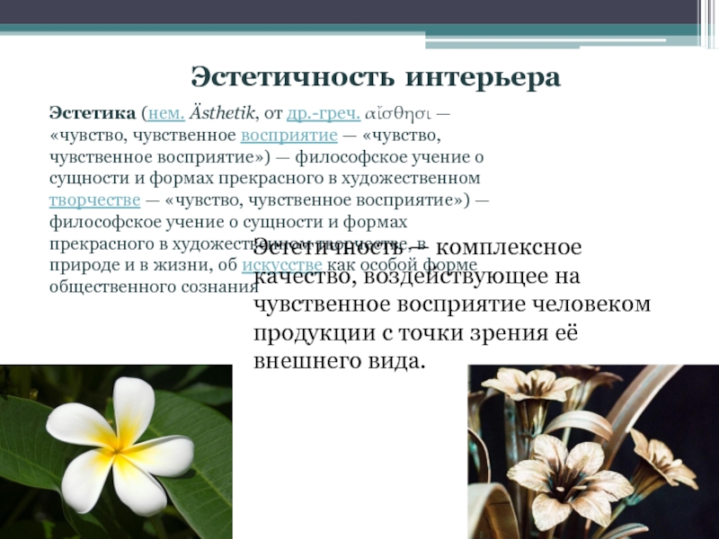 Эстетичность. Эстетичность работы что такое. Эстетичность текста. О сущности и формах прекрасного в художественном творчестве природе.