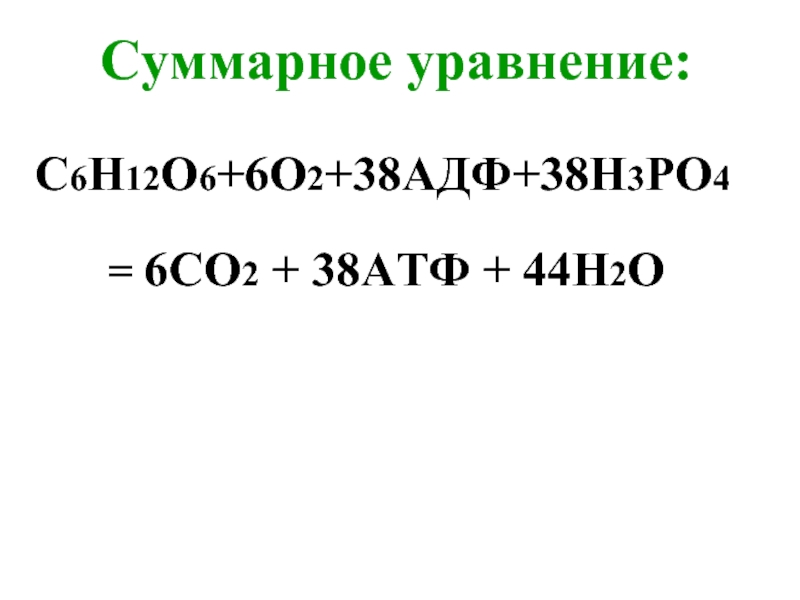 Ц 6 аш 12 о 6. С6н12о6+о2. … + 6н2о = с6н12о6 + 6о2. С6н12о6 в с2н6о. 6со2+6н=с6н12о6.