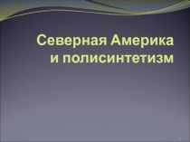 Северная Америка и полисинтетизм