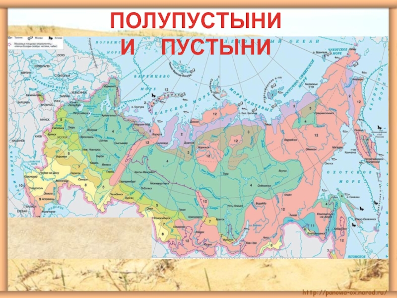 Карта пустынь. Зона пустынь и полупустынь России на карте. Зона пустынь и полупустынь на карте. Природные зоны России пустыни и полупустыни карта. Пустыни и полупустыни географическое положение на карте.