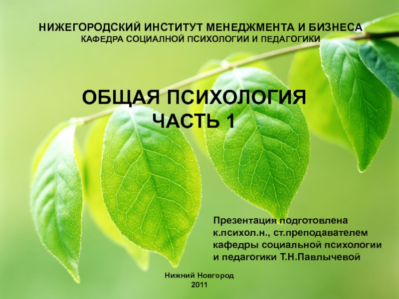 НИЖЕГОРОДСКИЙ ИНСТИТУТ МЕНЕДЖМЕНТА И БИЗНЕСА
КАФЕДРА СОЦИАЛНОЙ ПСИХОЛОГИИ И