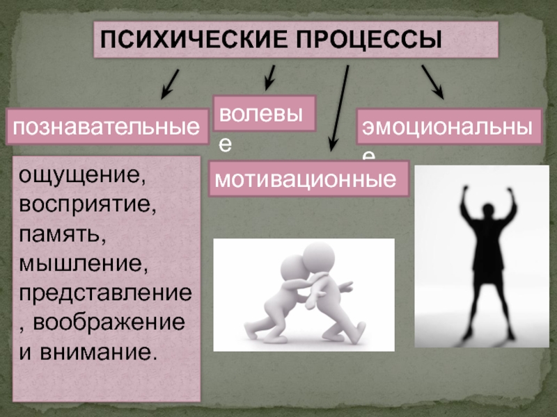 Процессы психики. Биопсихические процессы. Познавательные психические процессы. Психические процессы — это процессы.