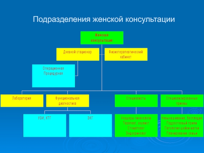 Общие подразделения. Организационная структура женской консультации схема. Структура и организация женской консультации. Структура женской консультации таблица. Организационная структура женской консультации.