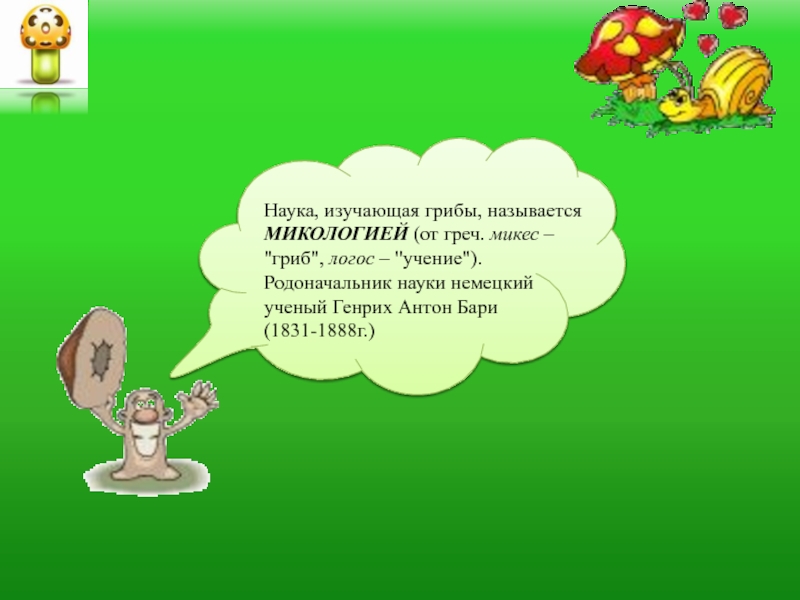 Наука про грибы. Наука изучающая грибы. Наука изучающая грибы в биологии. Как называется наука изучающая грибы. Ученые изучающие грибы.