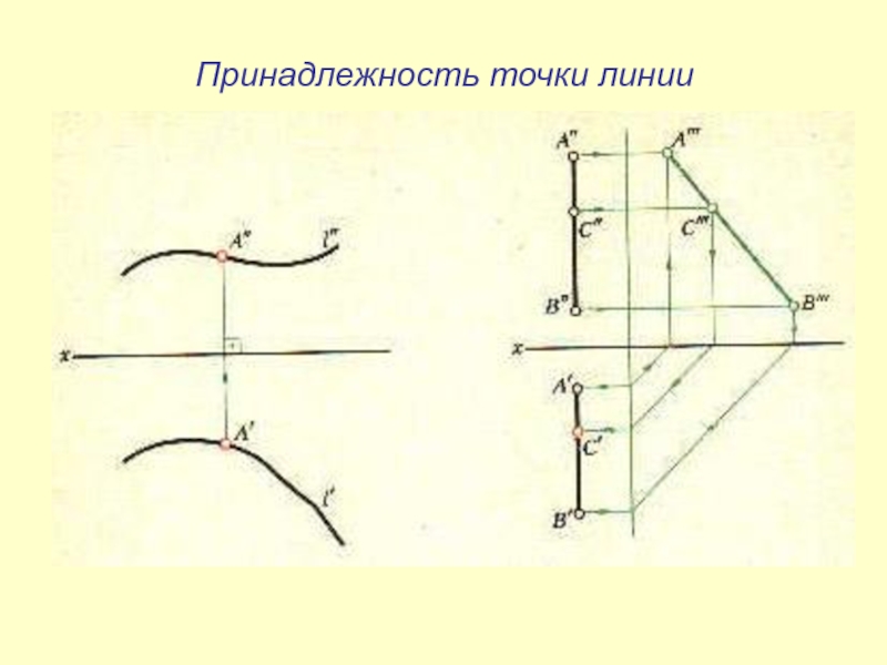 Ортогональная проекция точки. Принадлежность точки линии. Линия с точками. Принадлежность линии плоскости. Принадлежность линии поверхности.